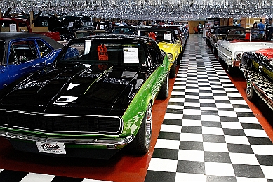 _MG_3443