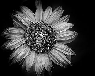 _MG_3116-Edit-3-Edit
