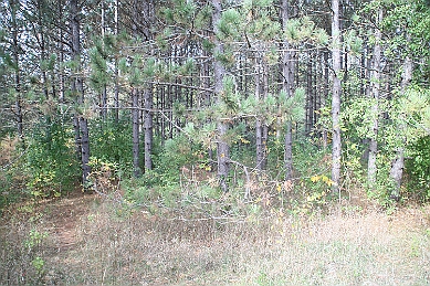IMG_9357