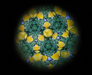 1G0A5112