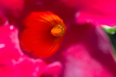 _MG_0232