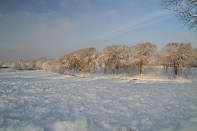 IMG_6115