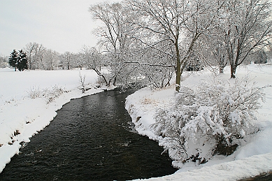 IMG_6117