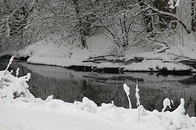 IMG_6130