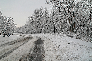 IMG_6135