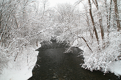 IMG_6136
